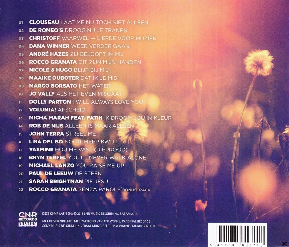Une pochette de CD montrant une liste de titres de chansons et un fond avec des fleurs.