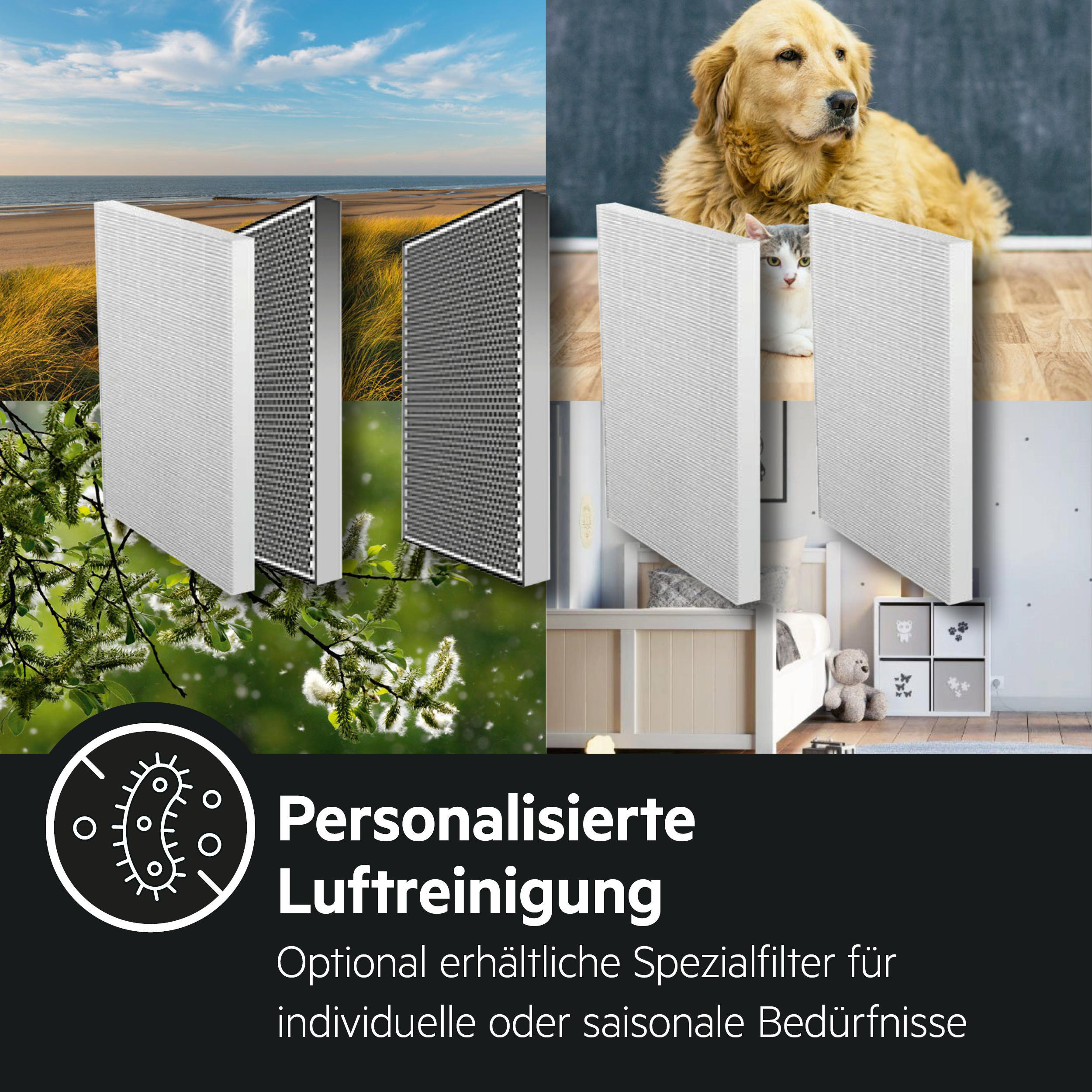 Vier Luftfilterelemente nebeneinander, mit Bildern von Natur, Hund und Katze.