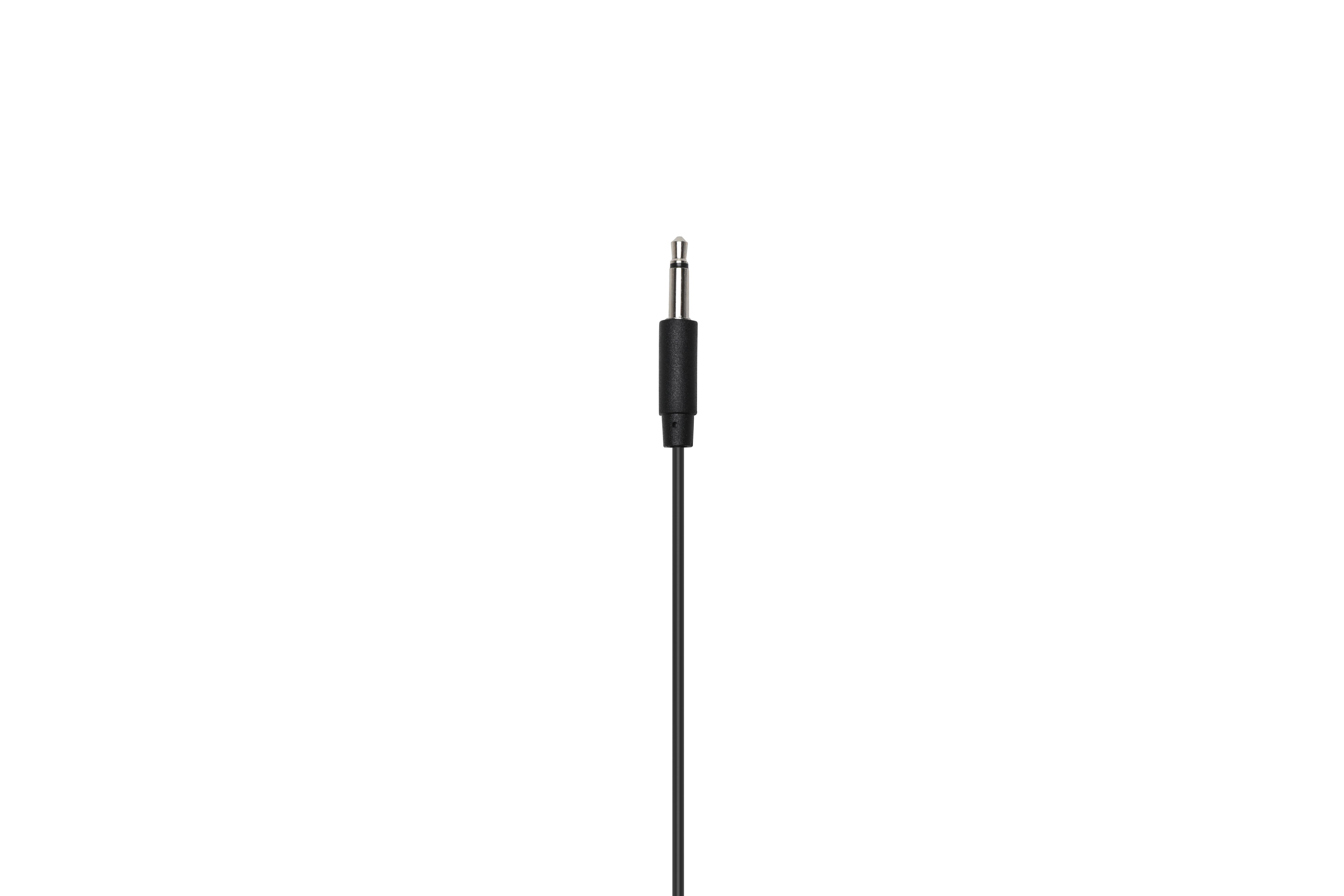 Ein schwarzes Audio-Kabel mit goldfarbener Spitze. Weißer Hintergrund. Isoliertes Bild.
