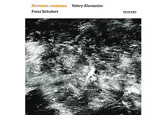 Valery Afanassiev - Franz Schubert: Moments Musicaux (Vinyl LP (nagylemez))