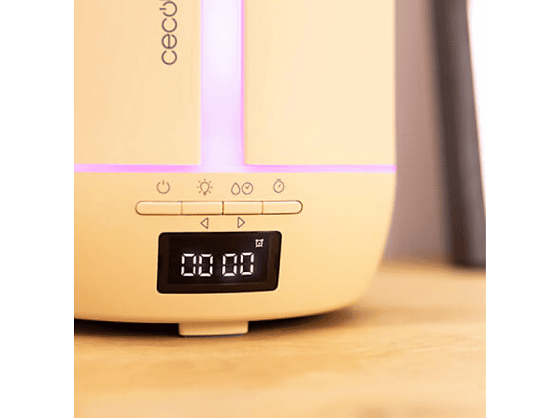 Vista 3