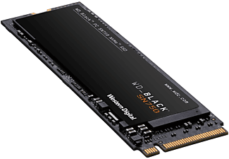SSD INTERNO WESTERN DIGITAL WDBRPG2500ANC-WRSN