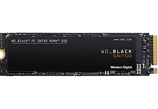 SSD INTERNO WESTERN DIGITAL WDBRPG5000ANC-WRSN