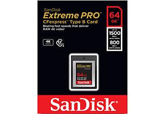 SCHEDA DI MEMORIA SANDISK SDCFE-064G-GN4IN