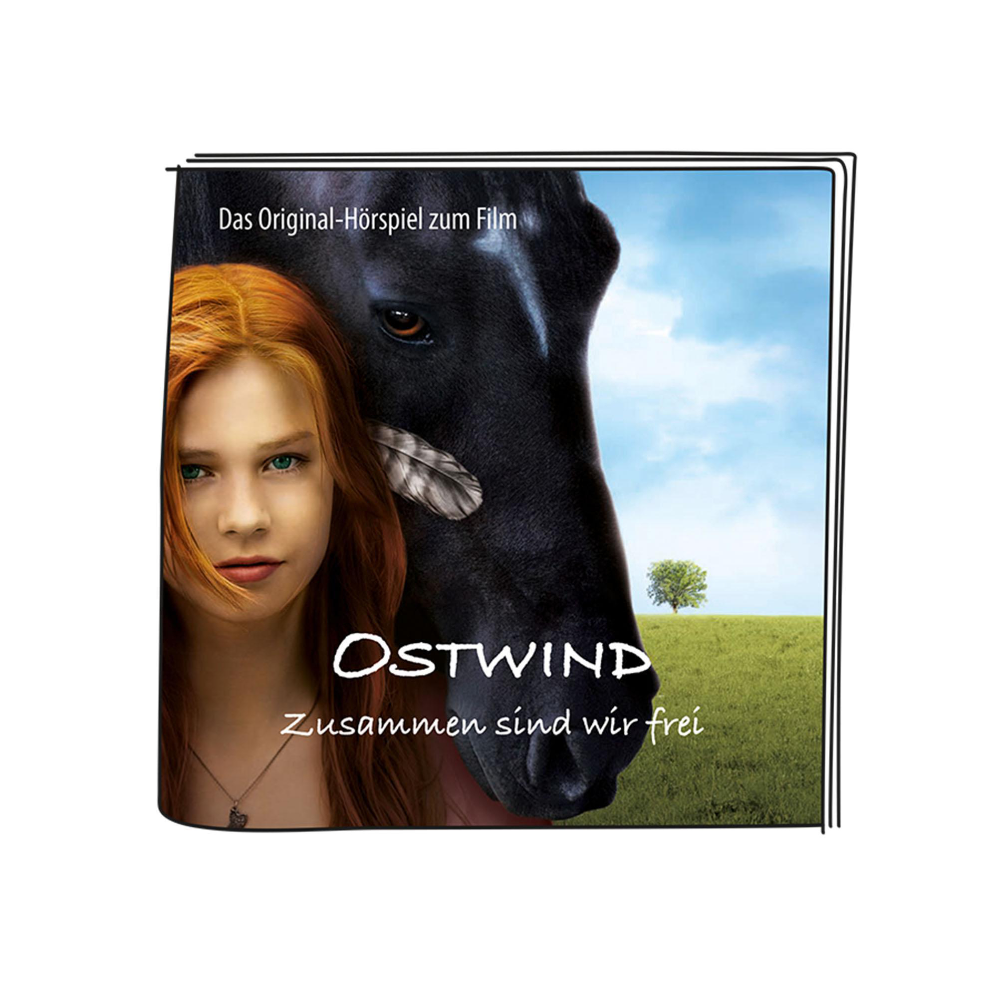 Filmplakat mit einer jungen Frau und einem schwarzen Pferd.