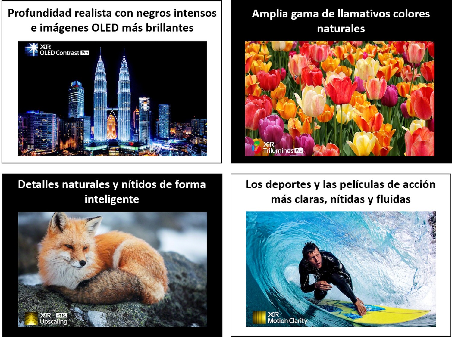 Cuatro imágenes que muestran las características de la pantalla OLED: profundidad, colores, detalles y acción.