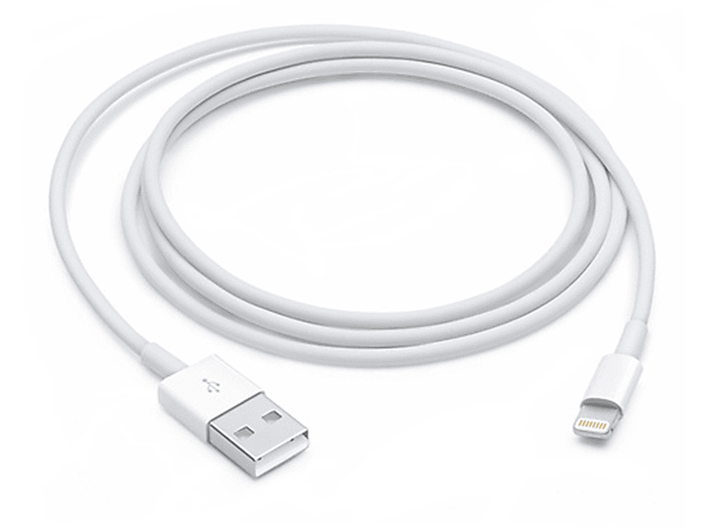 Cavo Lightning ISY Iuc-0001