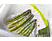 BOSCH MSZV0FB1 - Sacchetti per sottovuoto (Trasparente/Verde)