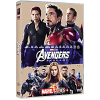 Avengers Endgame - DVD