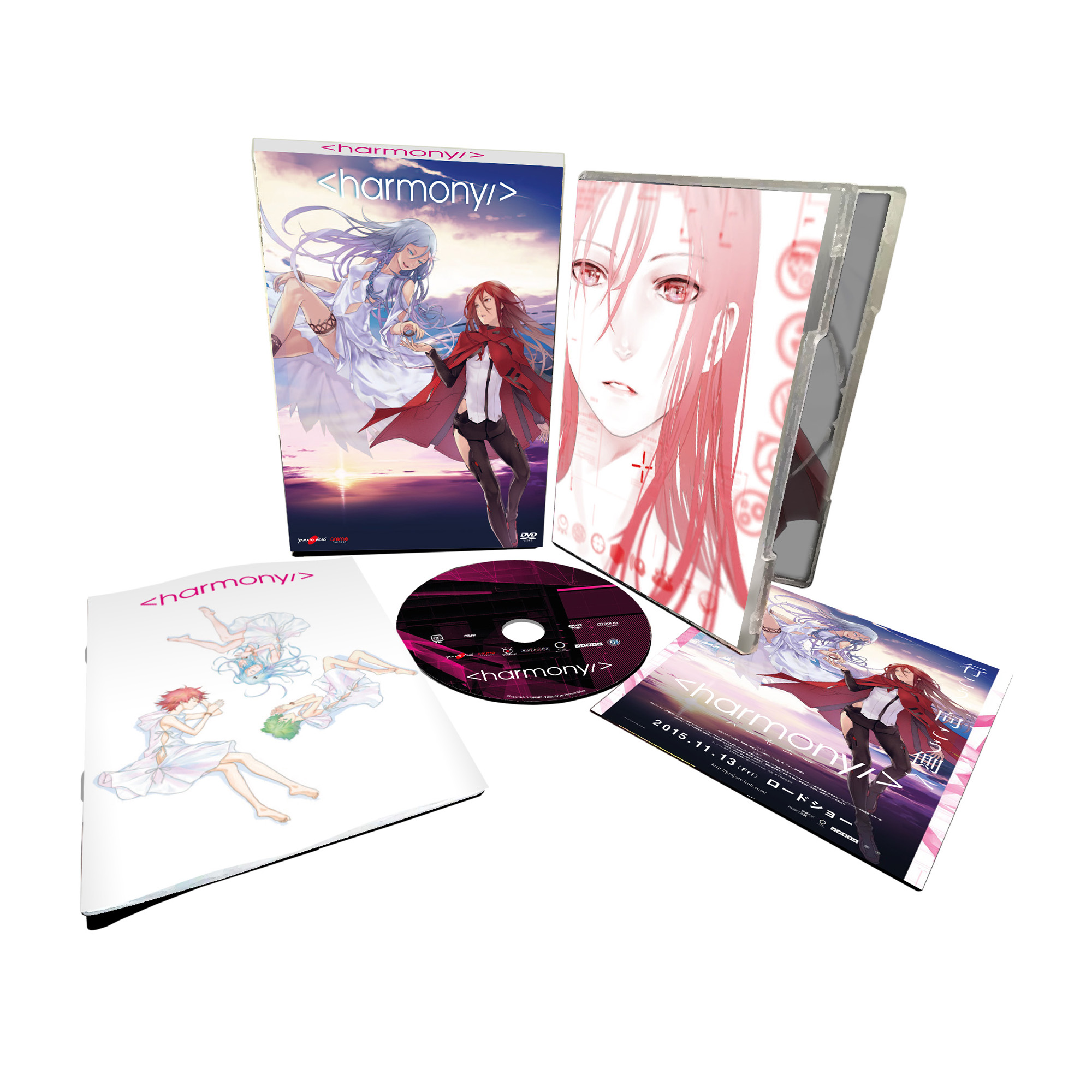 Un cofanetto DVD con arte in stile anime. Mostra una scatola, un'astuccio, un disco e altri materiali.