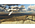 MS Flight Simulator Xbox Series X 