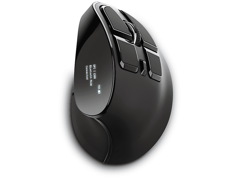 Mouse Trust Voxx Ergonomic Rech