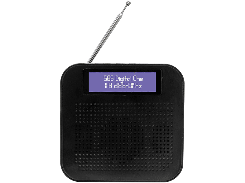 Zeerkeer Mini Radio Portatile Ricevitore Radiolina Cuffie Tascabile Display  Batteria Ricaricabile Ne