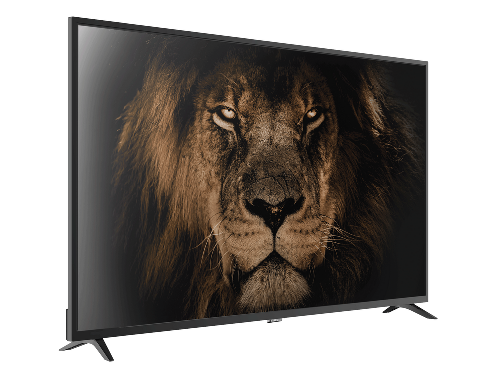 Un televisor de pantalla plana que muestra un primer plano de la cara de un león.