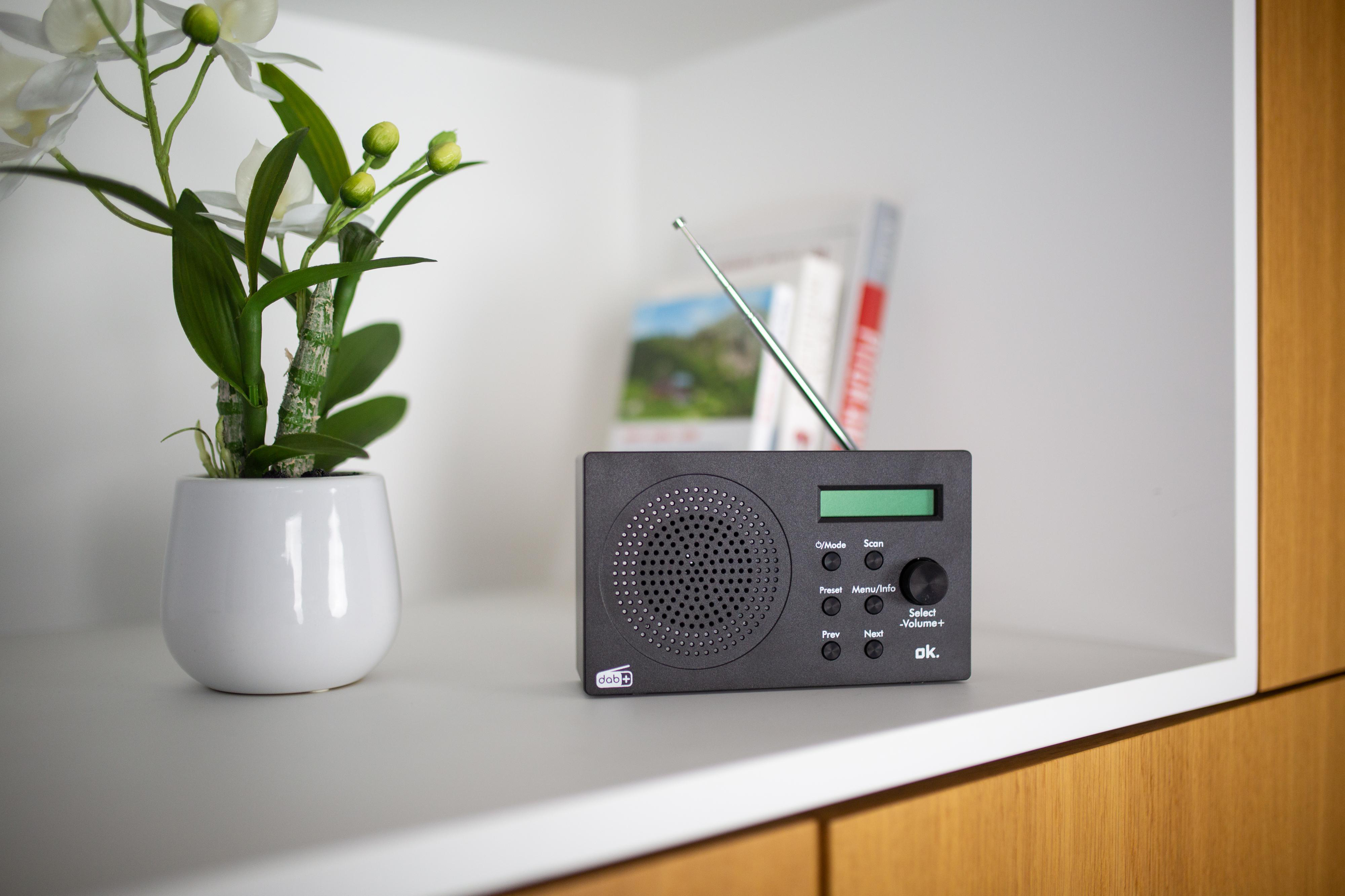 Schwarzes Radio auf Regal, weiße Wand und Holzschrank. Pflanze und Bücher im Hintergrund.