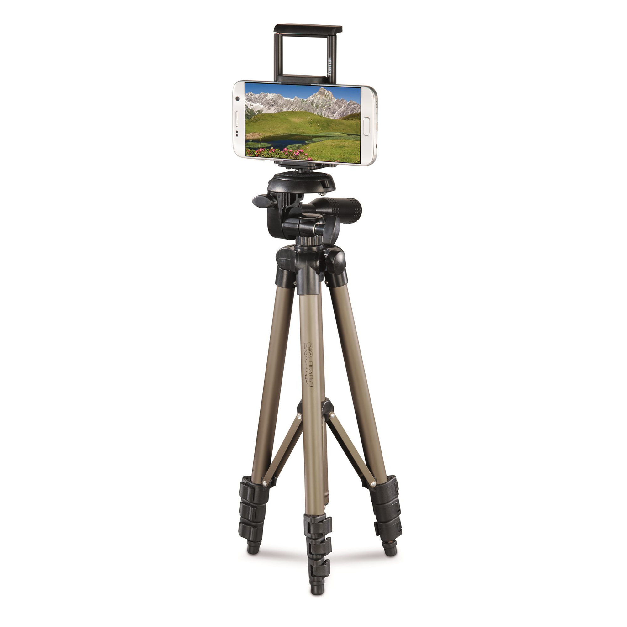 Cavalletto Hama Testa 3D
