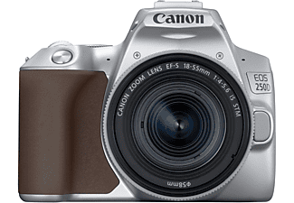 FOTOCAMERA REFLEX CANON EOS 250D SILVER + EF-S 18-55 IS STM