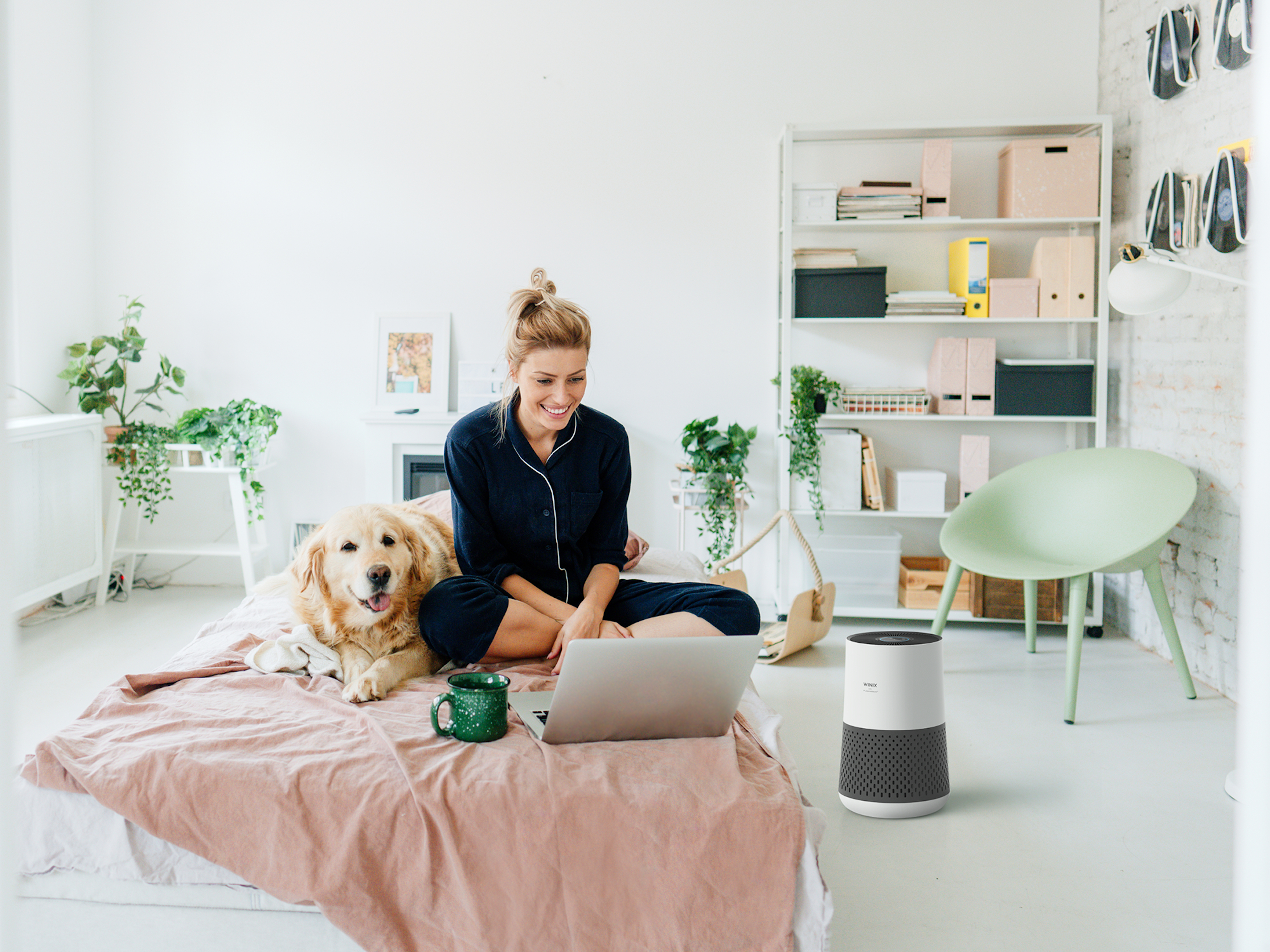 Frau arbeitet im Bett mit Hund und Pflanzen am Laptop.