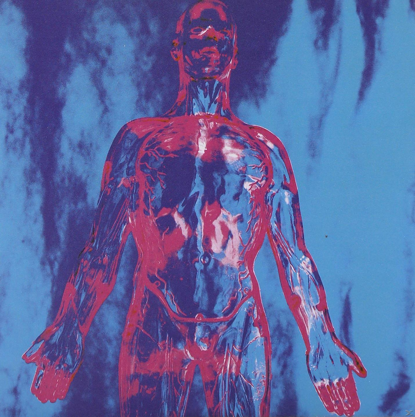 Nirvana - Sliver  - (Vinyl)