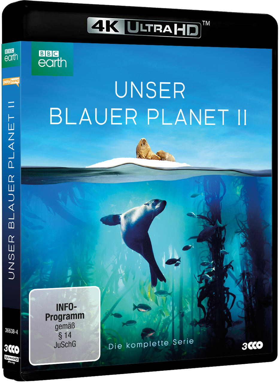 Blu-ray-Disc-Cover mit Robbe und Seehund unter Wasser.
