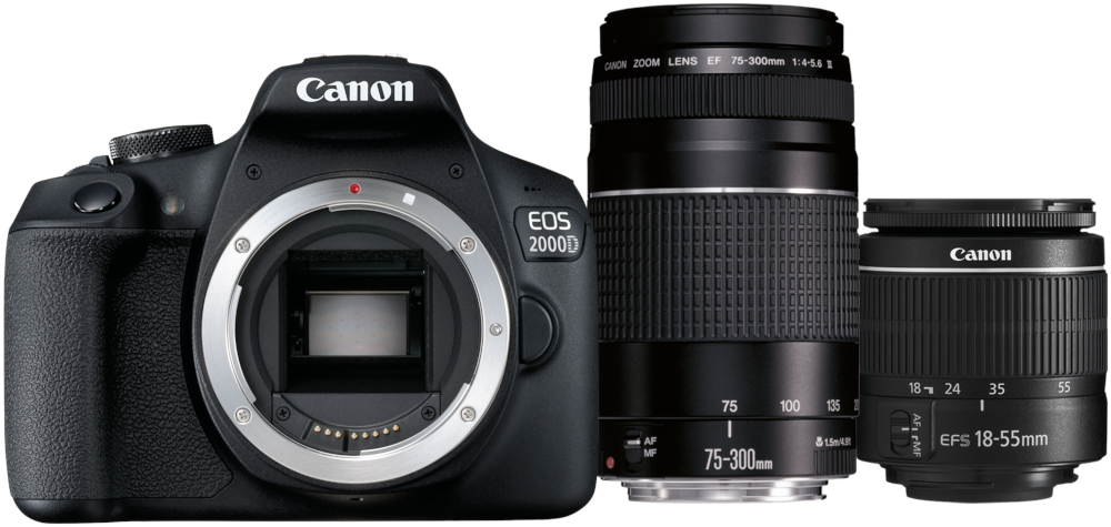 Appareil photo Canon et deux objectifs. L'appareil photo est noir. Les objectifs sont noirs et gris.