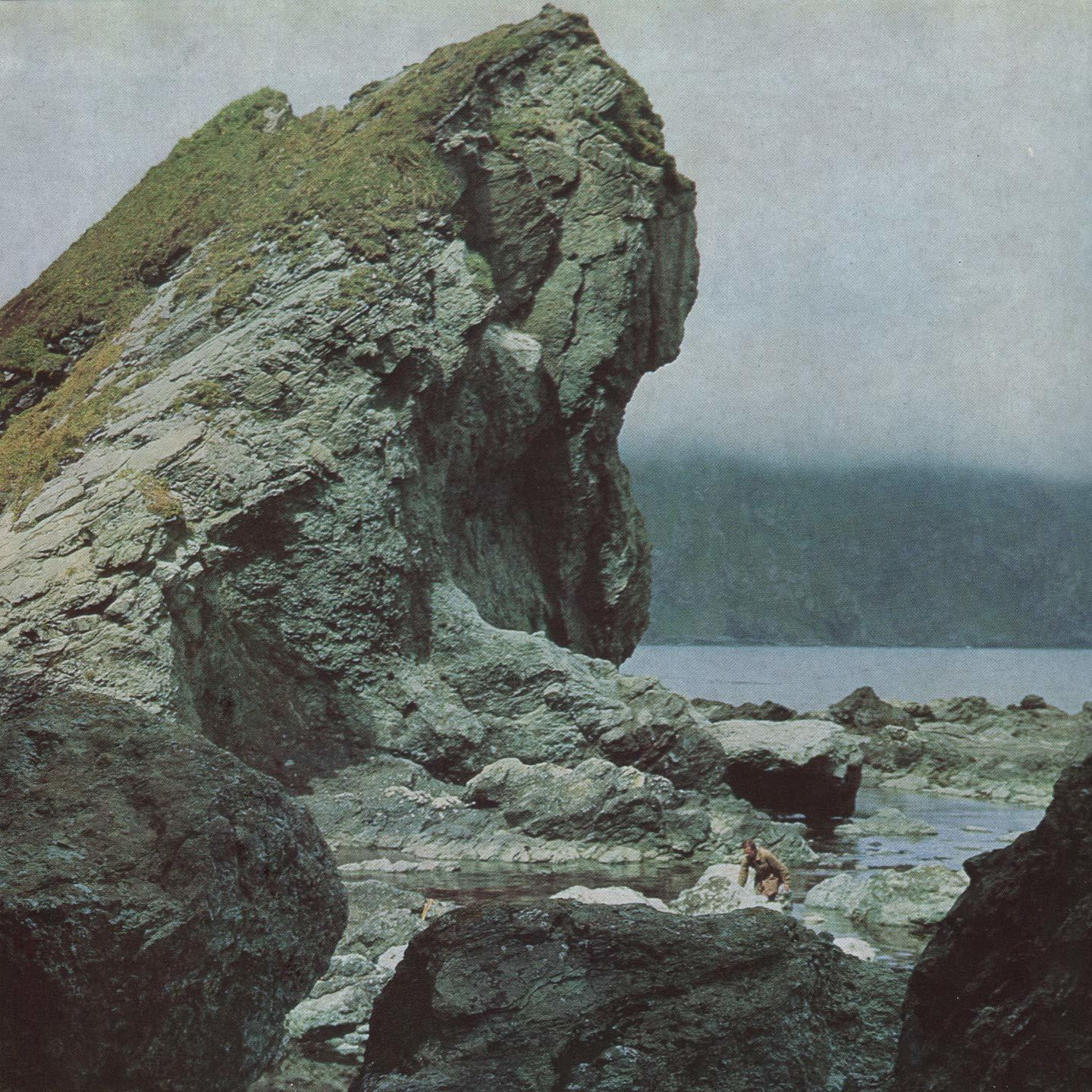 Motorama - Many Nights (LP+MP3)  - (LP + Download)