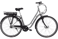 ALLEGRO Boulevard Plus 03 Citybike (Laufradgröße: 28 Zoll, Rahmenhöhe: 45 cm, Unisex-Rad, 374 Wh, Silber)