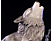 FIRST 4 FIGURE Dark Souls - The Great Grey Wolf, Sif SD - Statue (Mehrfarbig)