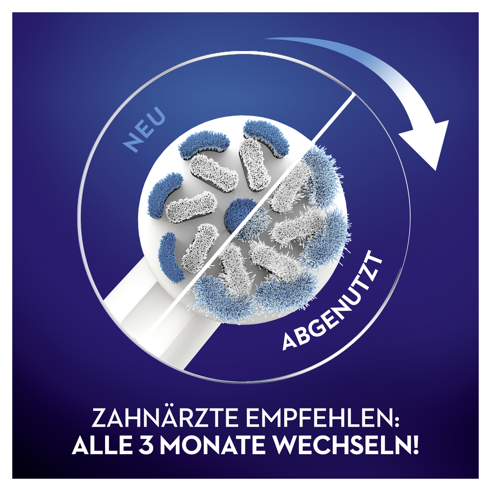 Zahnbürstenkopf mit neuen und abgenutzten Borsten. Weiß und Blau, weißer Hintergrund.