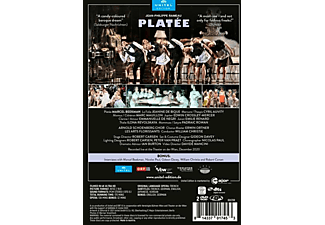 Beekman/Christie/Les Arts Florissants/+ - Platée  - (DVD)