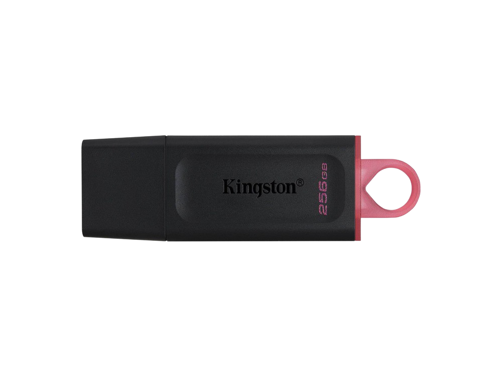 Memoria USB 256 GB - Kingston Exodia DTX/256GB, 5 Gbit/s, USB 3.2 Gen 1, Negro y Rosa