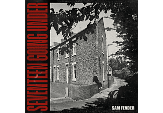 Sam Fender - Seventeen Going Under  - (Vinyl)