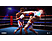 Big Rumble Boxing: Creed Champions - Day One Edition - PlayStation 4 - Italienisch