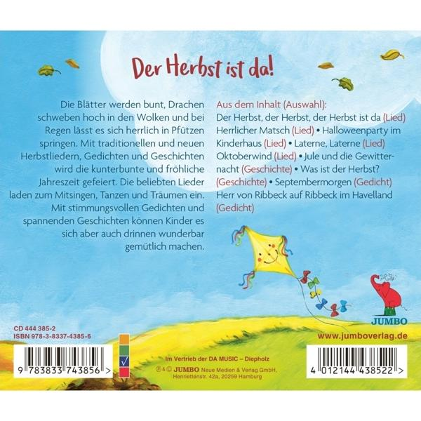 VARIOUS - Wir tanzen mit den Drachen im Wind.  - (CD)