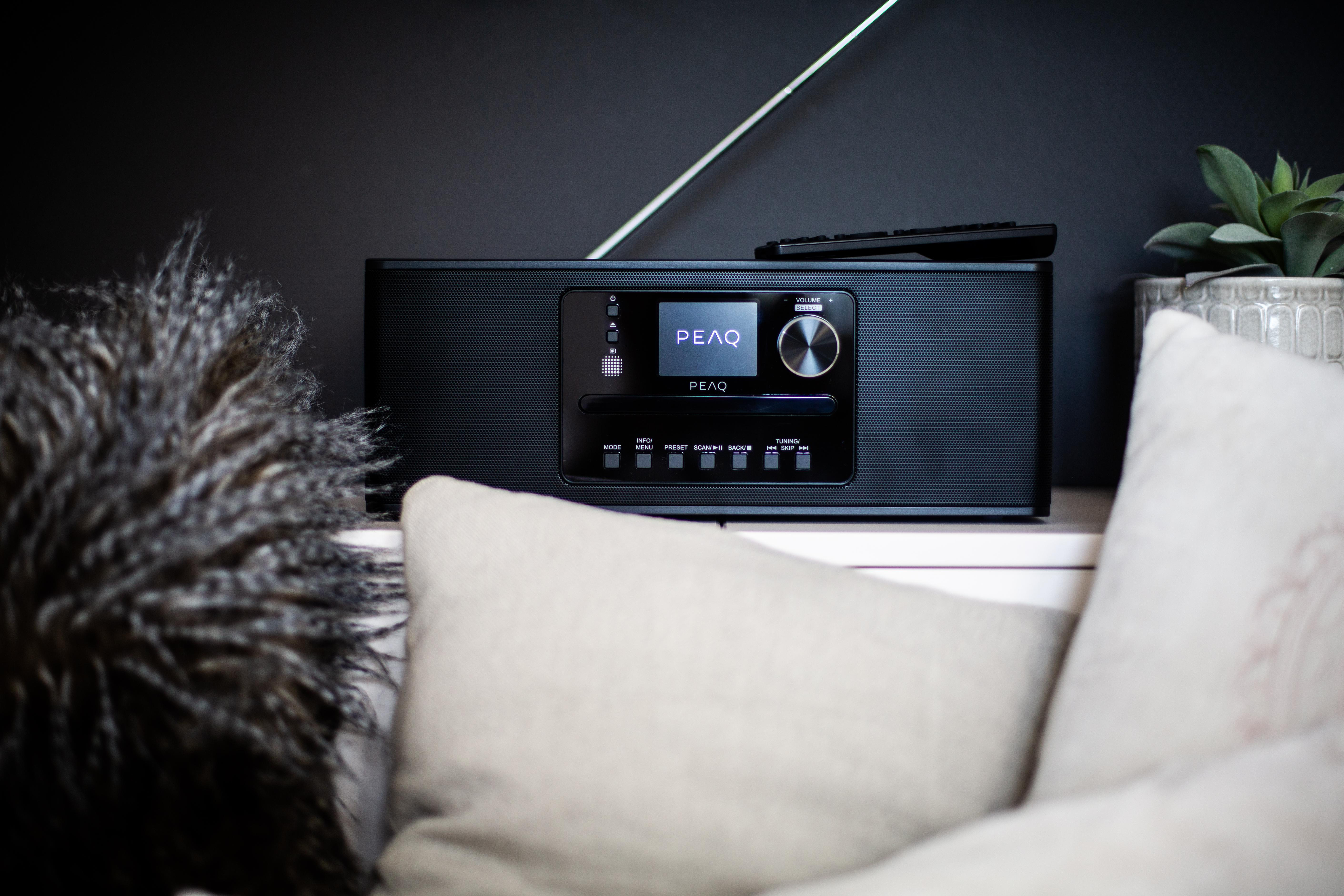 Schwarzes Radio mit Display, Fernbedienung und Pflanze, vor dunkler Wand.
