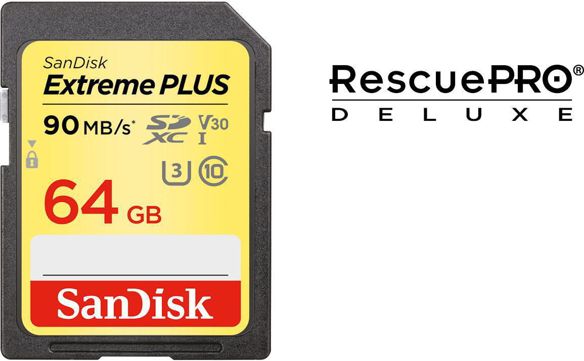 SANDISK Extreme PLUS, SDXC Speicherkarte, 64 GB, 150 MB/s