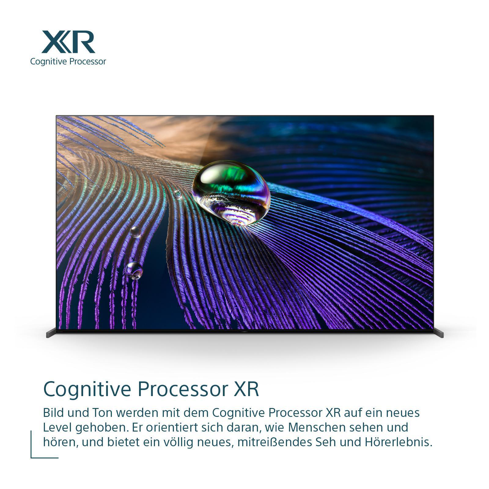 SONY XR-65A90J OLED TV Zoll 65 (Flat, Google TV, cm, SMART 4K, 164 TV) / OLED