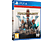 King's Bounty II (PlayStation 4)