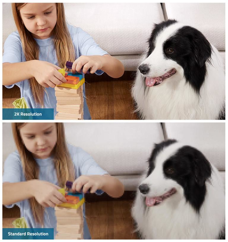 Meisje en hond, met een speelgoedtoren, getoond in verschillende resoluties.