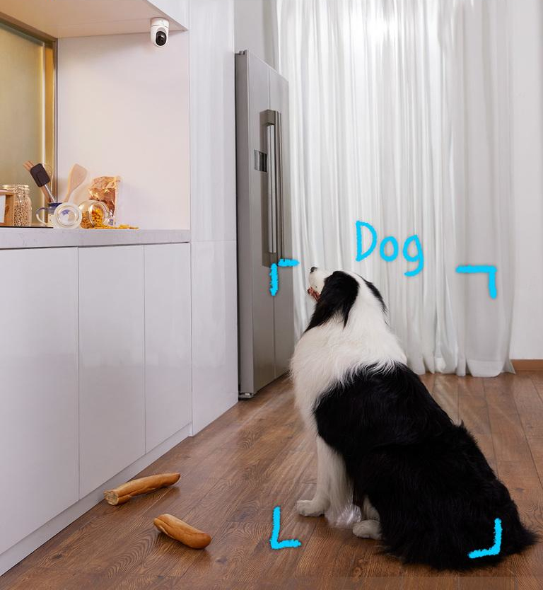 Zwart-witte hond kijkt naar eten, met een beveiligingscamera op de achtergrond.