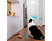 EUFY Smart Beveiligingscamera P24 2K (T8410322)
