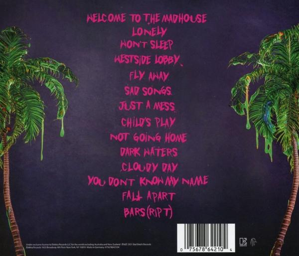 Rückseite eines Albums mit Titelliste, Palmen und dunklem Hintergrund.