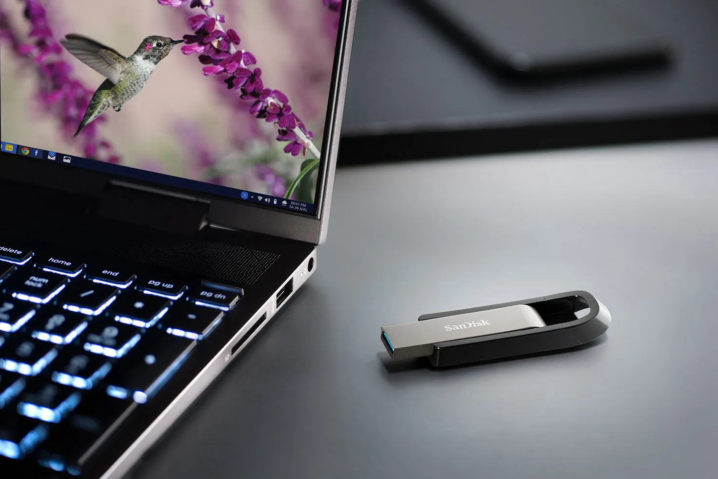 Un ordinateur portable avec un colibri sur l'écran et une clé USB argentée à sa droite.