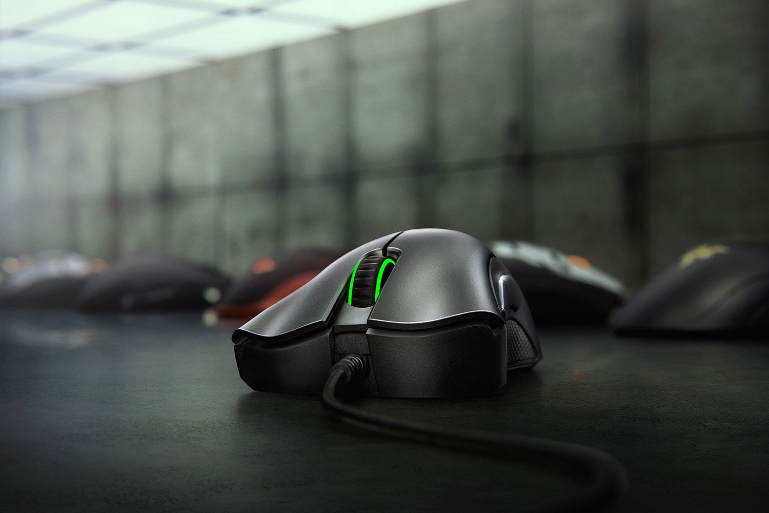 Eine schwarze Gaming-Maus mit grünem Licht liegt auf grauer Oberfläche. Andere Mäuse unscharf.