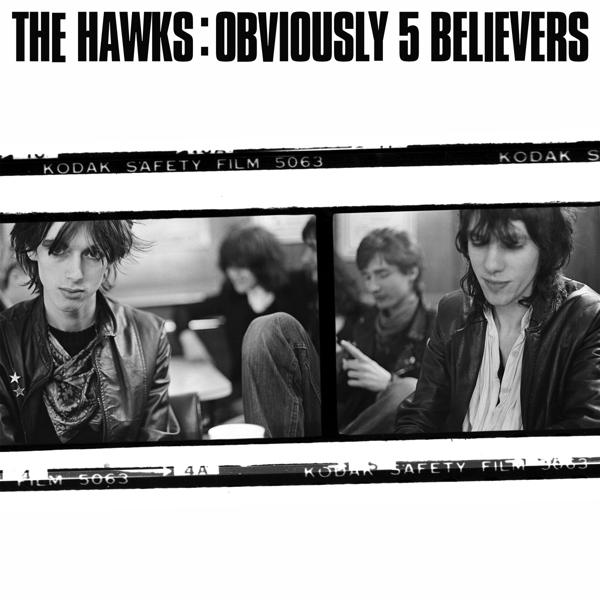 The 5 - (Vinyl) Believers - Obviously Hawks