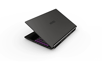 XMG NEO 15 - M21qzg, Gaming Notebook mit 15,6 Zoll Display, Intel® Core™ i7 Prozessor, 16 GB RAM, 1 TB mSSD, GeForce RTX 3070, Schwarz