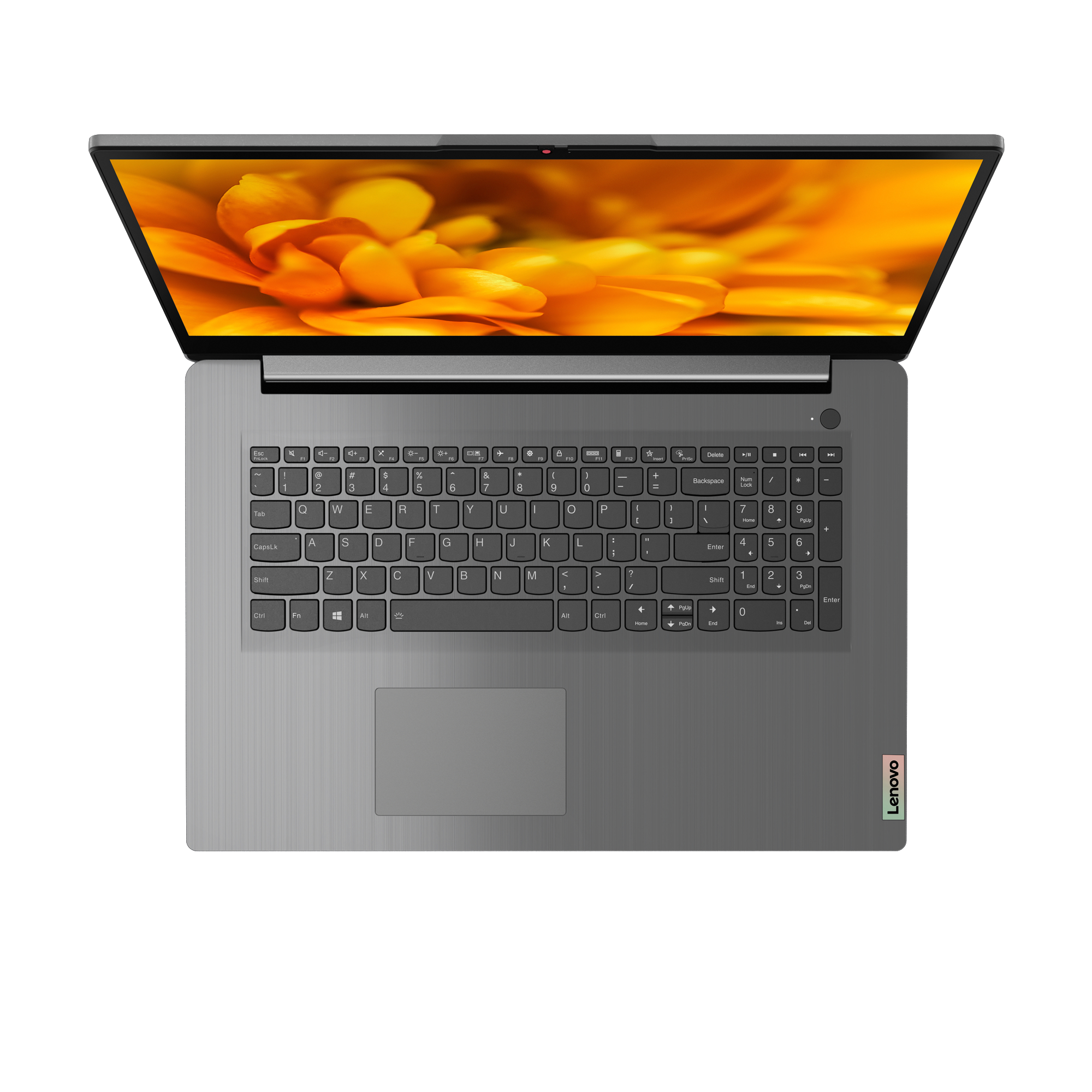 LENOVO IdeaPad 3 - 17,3 Zoll - AMD Ryzen™ 5 5500U - 8 GB - 512 GB - AMD Radeon™ Onboard Graphics - Windows 10 Home (64 Bit)