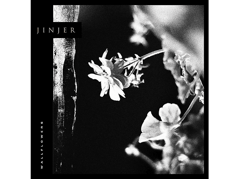 Jinjer | Wallflowers [CD] | MediaMarkt
