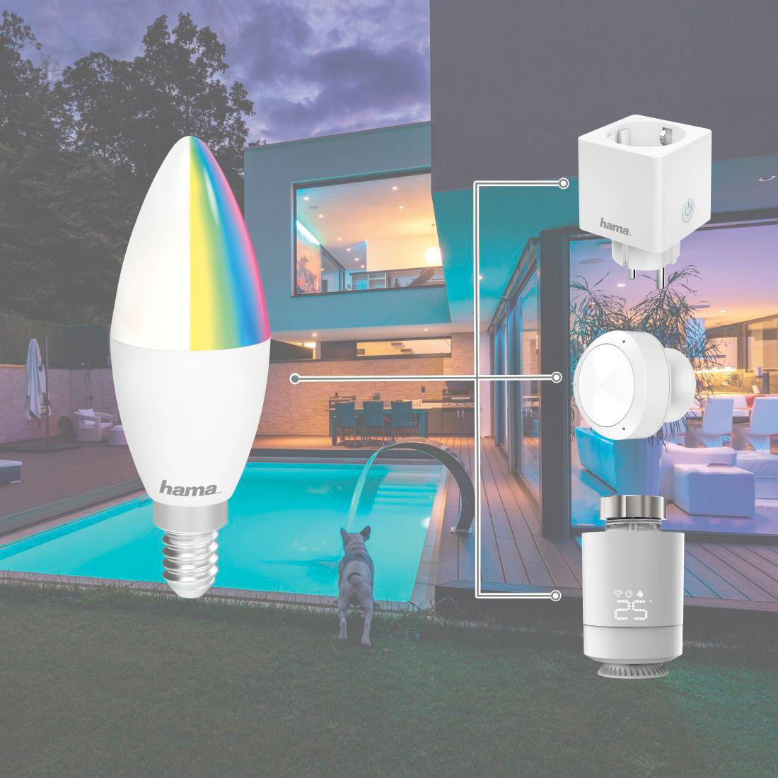 Smarte Glühbirne mit Regenbogenlicht, Smart-Home-Geräte, Pool und Haus im Hintergrund, Hund.