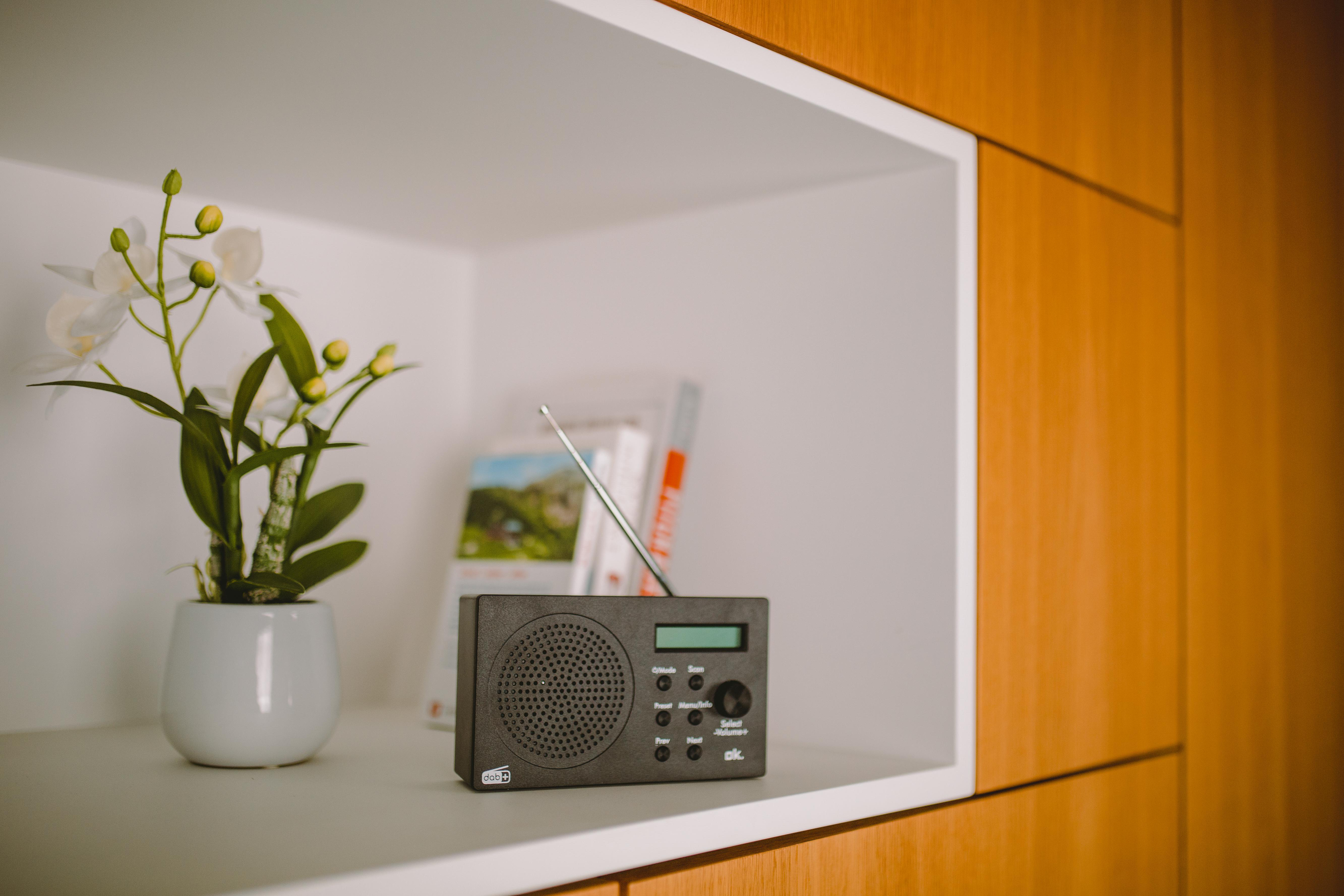 Ein schwarzes Radio mit Antenne auf einem Regal, neben einer Pflanze und Büchern.